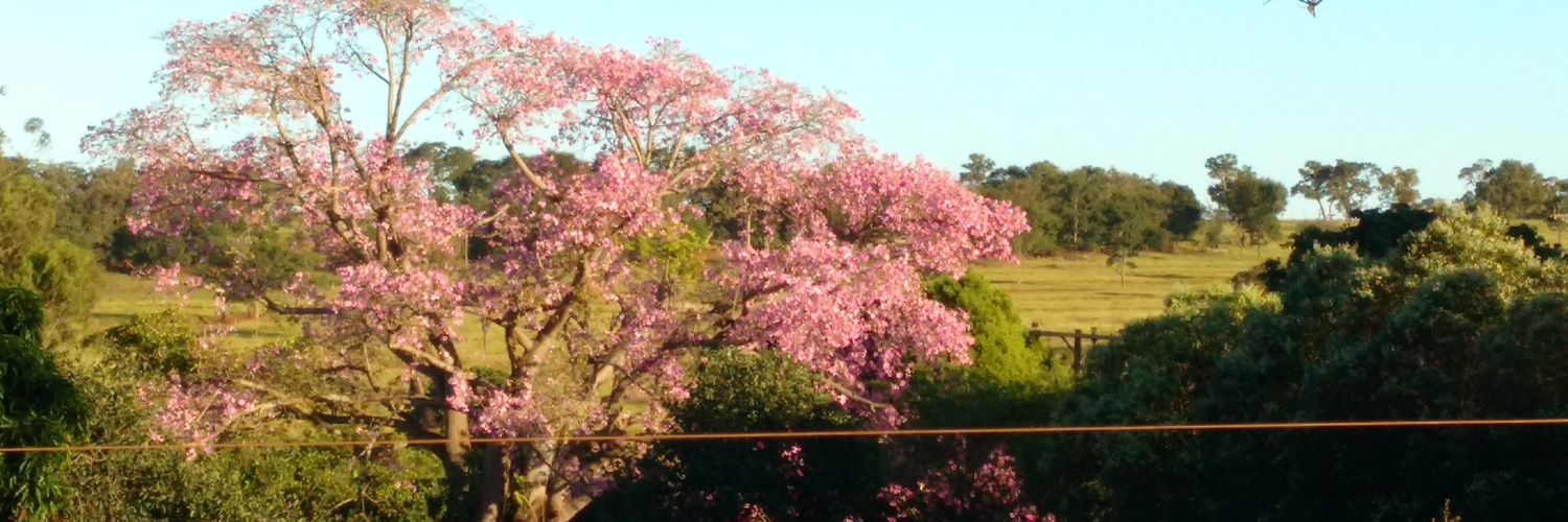 egberto8's profile banner image