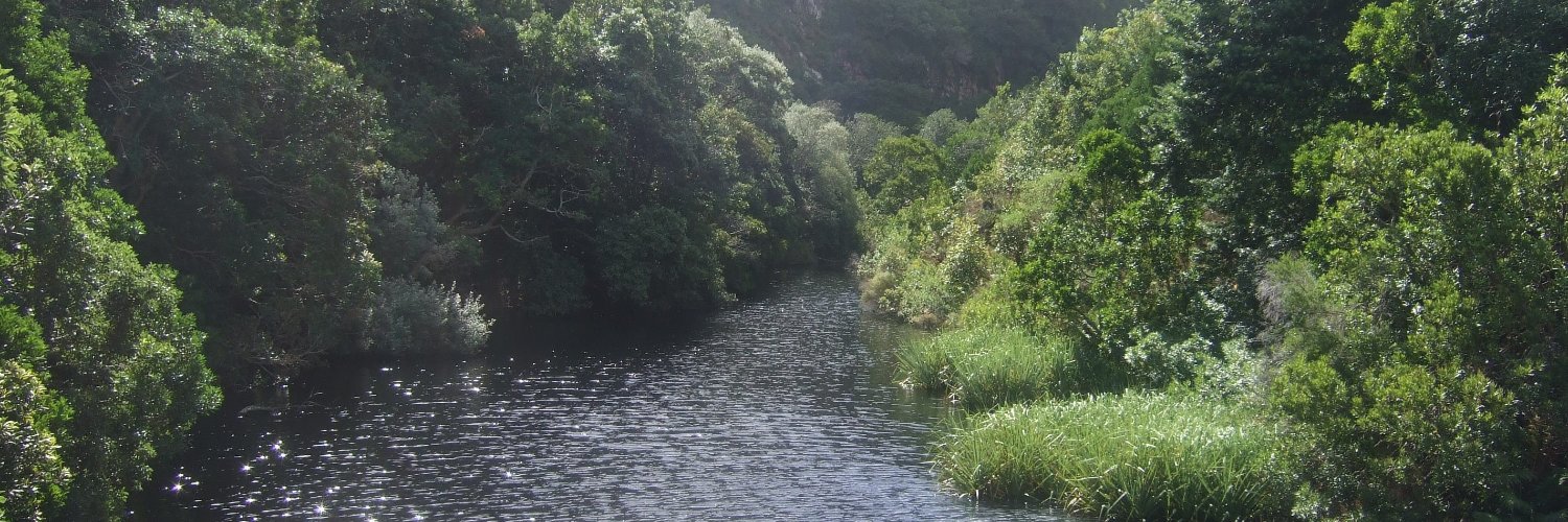 Stef Benstead banner