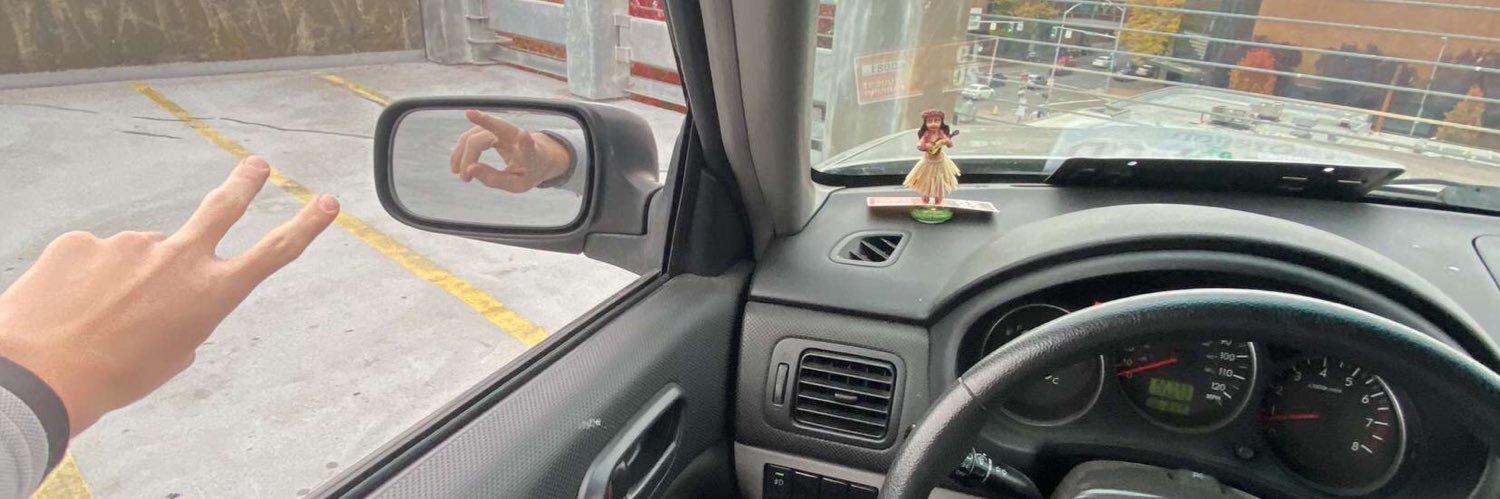 William Martinson banner