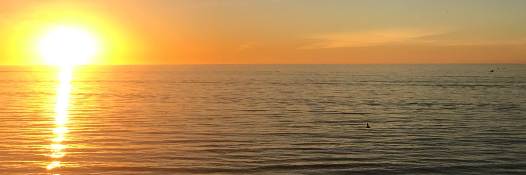 Tyson_proctor's profile banner image