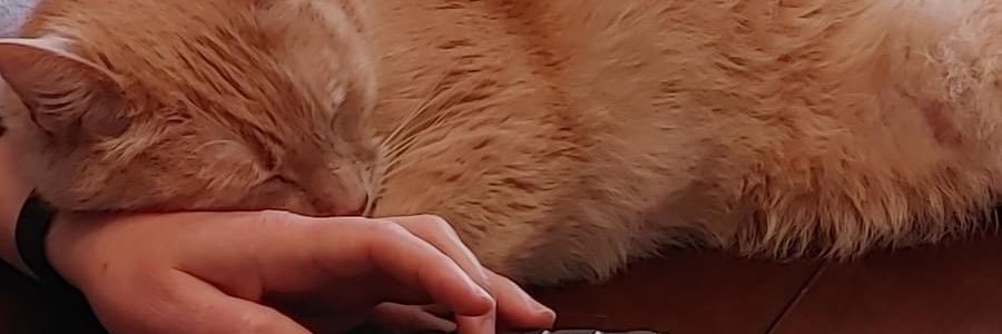 slysan63's profile banner image
