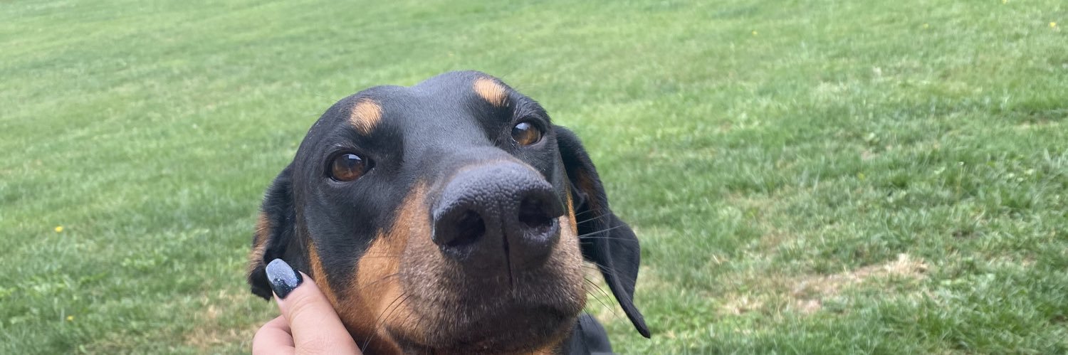Aye__Willy's profile banner image