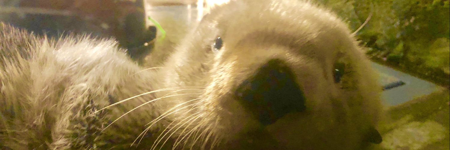 ChristianSie's profile banner image
