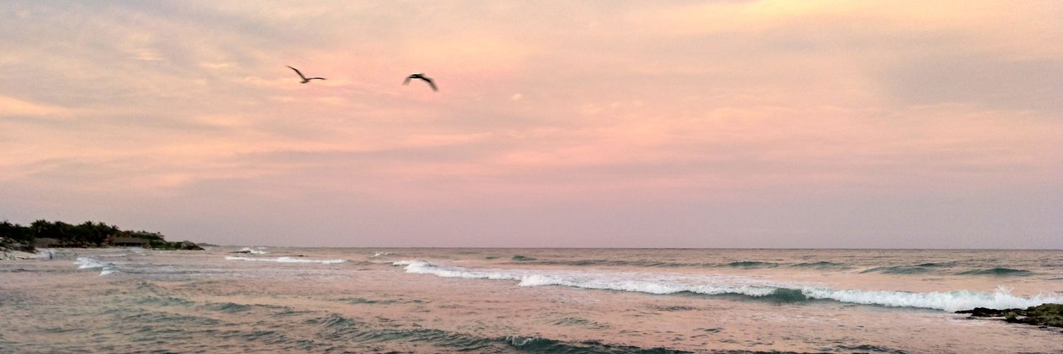 Víctor García banner