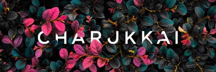 OneAndOnlyCharu's profile banner image