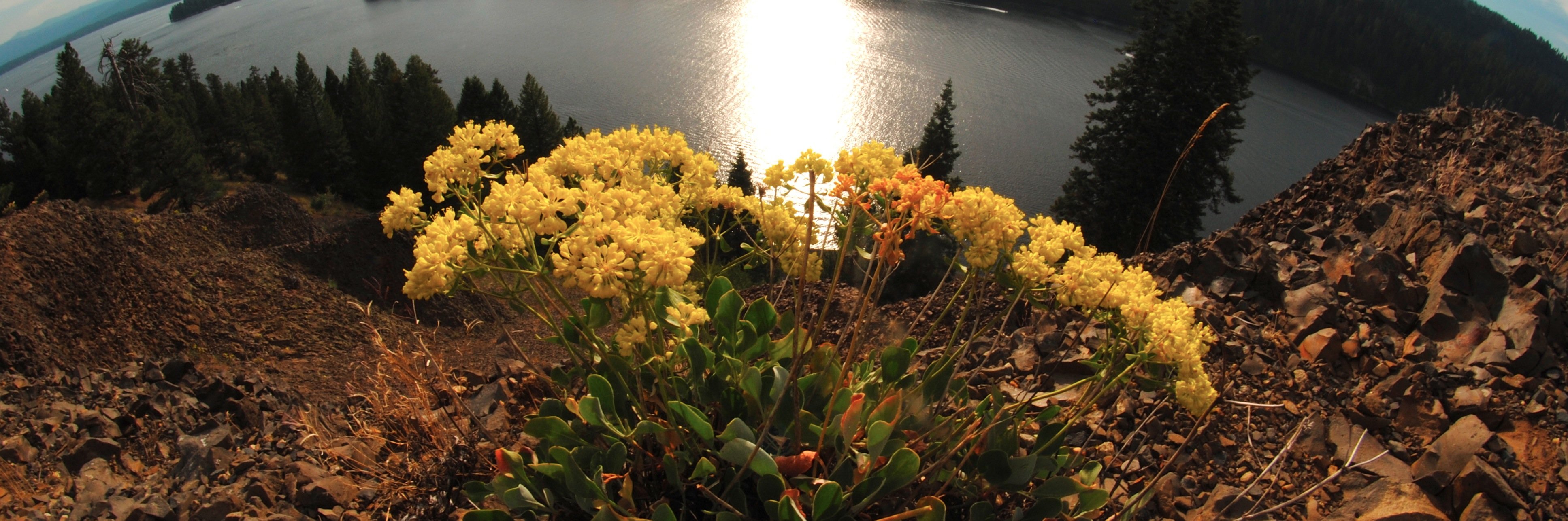 MaryCozby's profile banner image