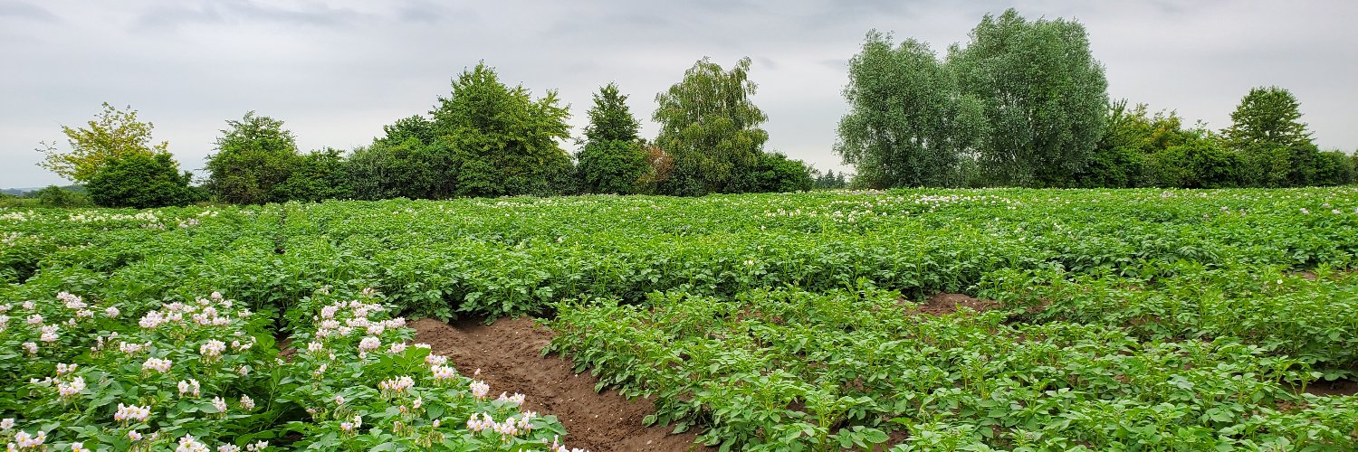 Charlotte Prodhomme banner