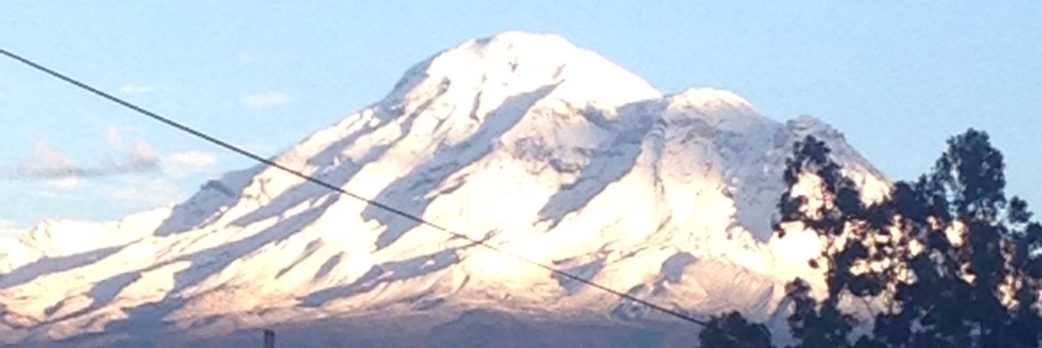 Fabián Toscano banner