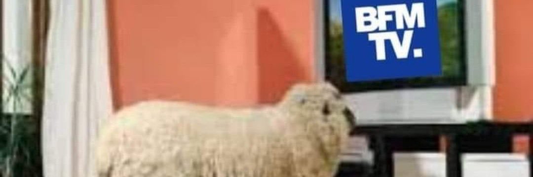 alain_ferras's profile banner image