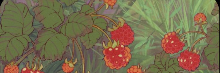 SurfInDry's profile banner image