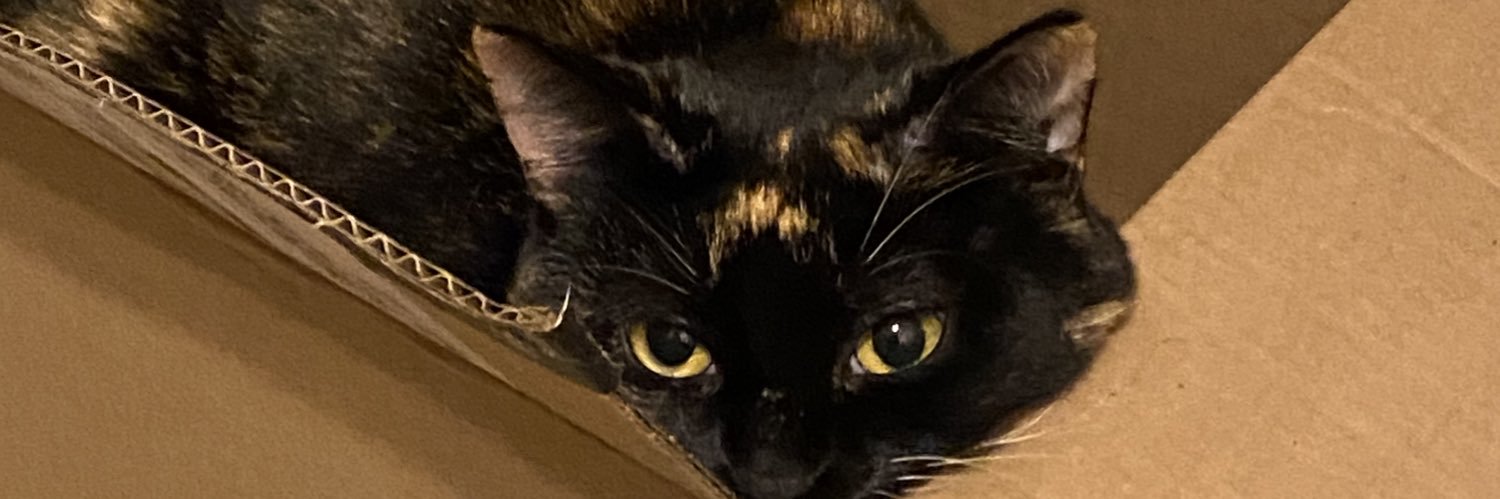 AjaScott's profile banner image