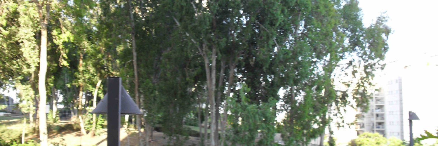 shoshgru's profile banner image
