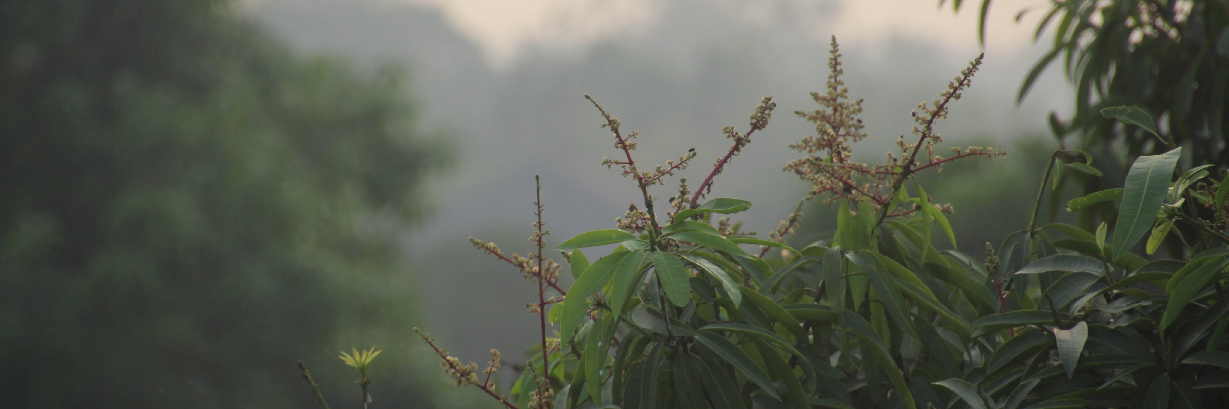 Raispa_'s profile banner image