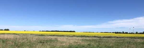 Natreen Profile Banner