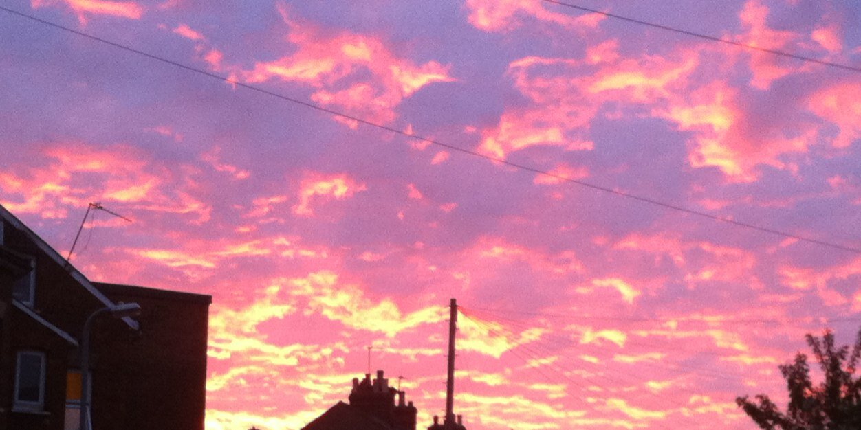 Dr Katharine Low banner