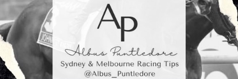 AlbusPuntledore's profile banner image
