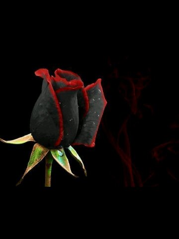B3EJ's profile banner image