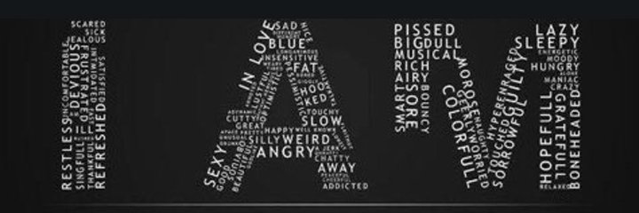 Silvereye banner