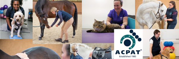 ACPATOfficial Profile Banner