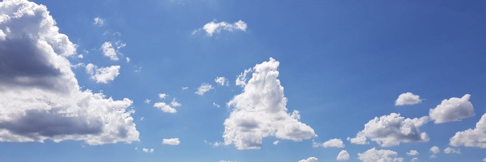 emilymlahey's profile banner image