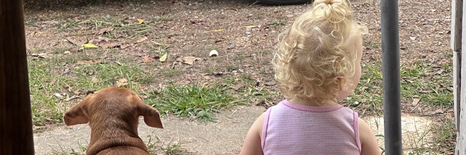 linzeyevans's profile banner image