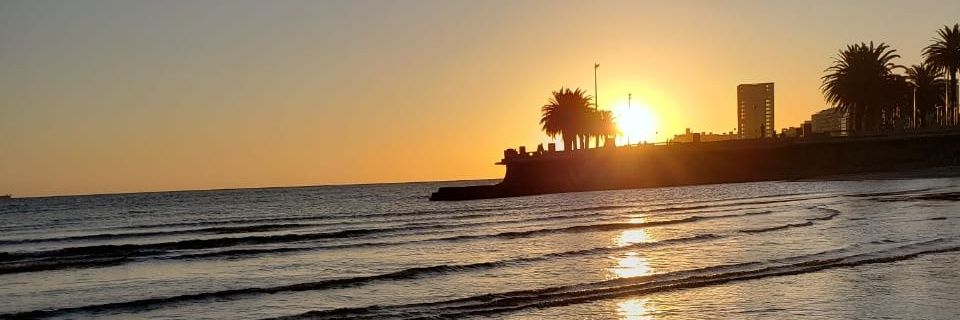 roberta_cbgr's profile banner image
