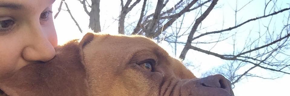 StephanieRoyRN's profile banner image