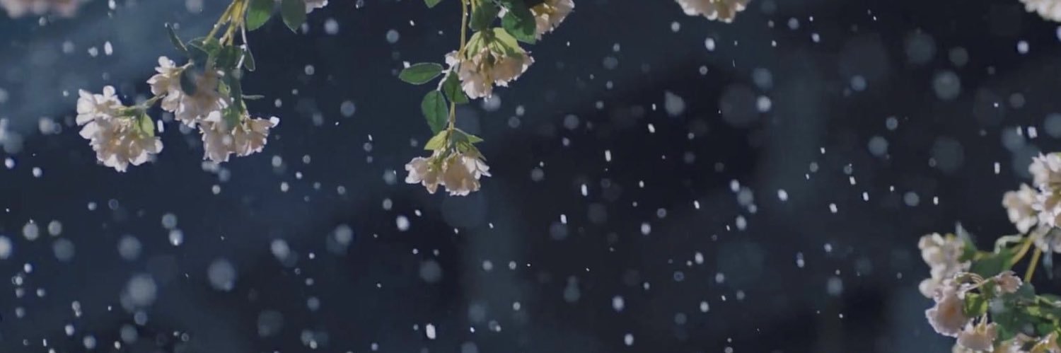 Leonids🍀 banner