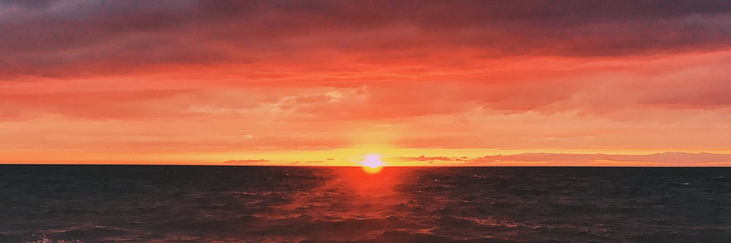 shaelynnesmith's profile banner image