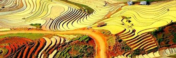 ducthienle Profile Banner