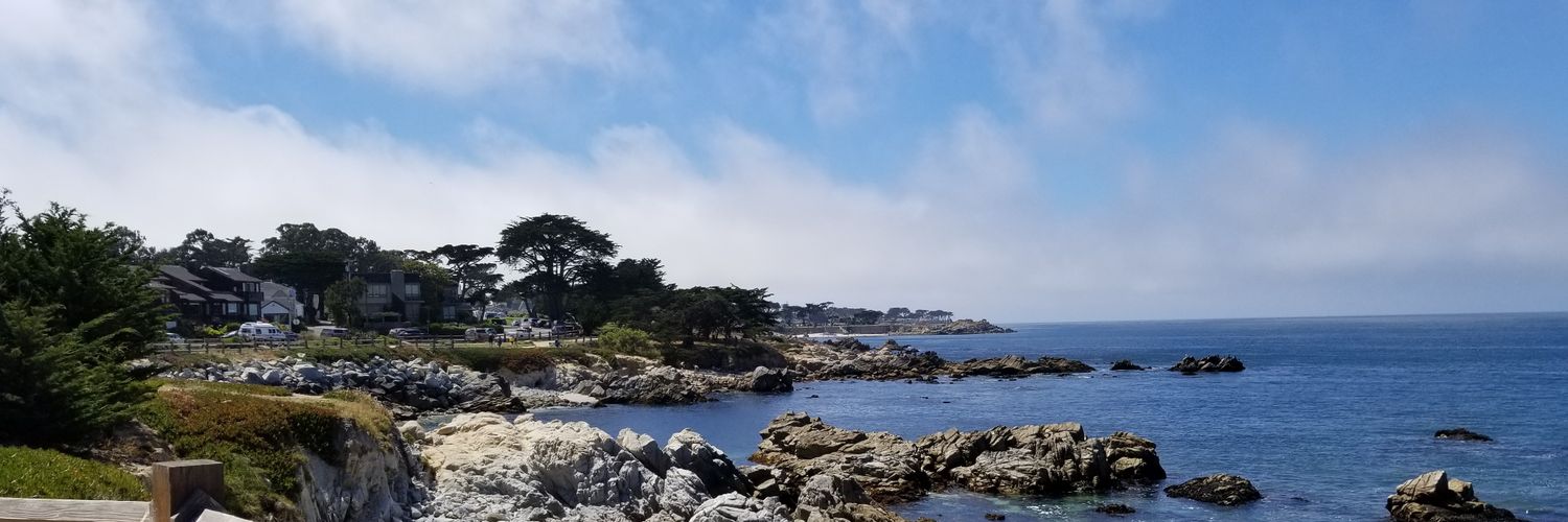 ShellMuze's profile banner image