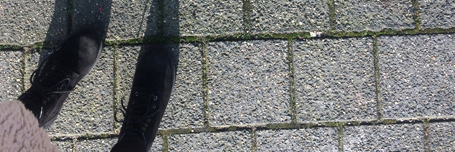Sanne banner