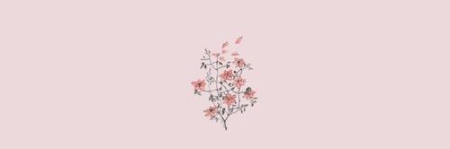 baileyplott's profile banner image