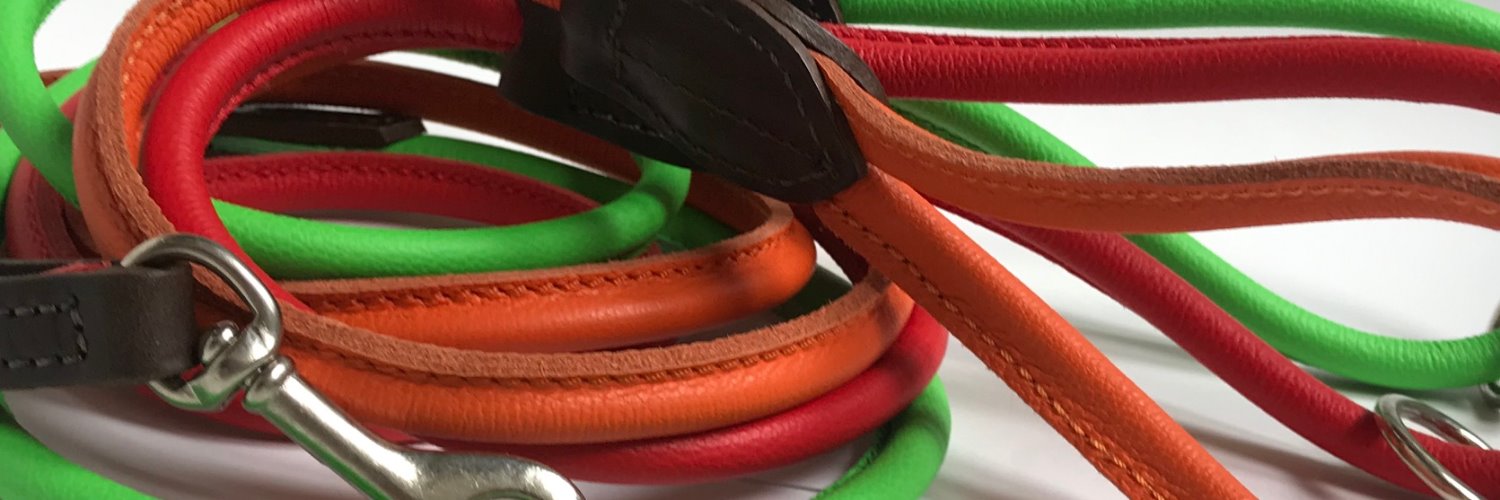 CollaredDog's profile banner image
