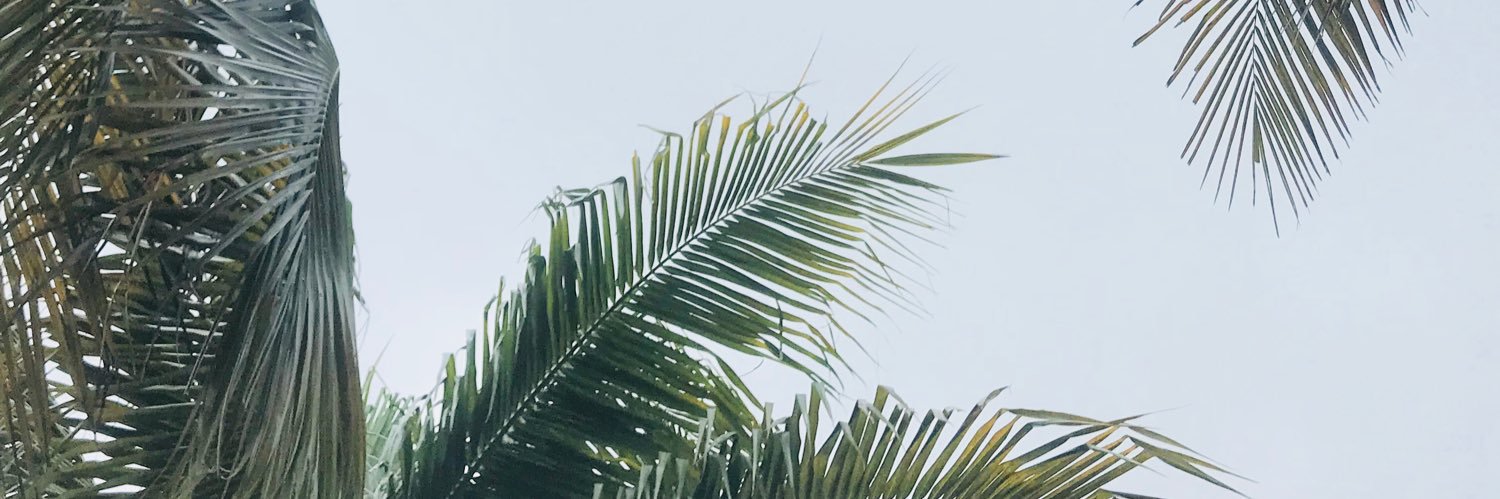 Grace Jensen banner