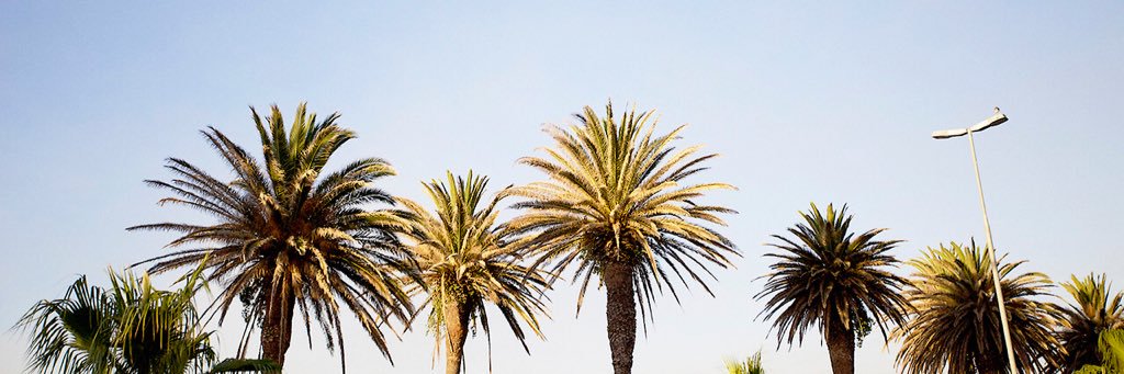 ReillyMoore1's profile banner image