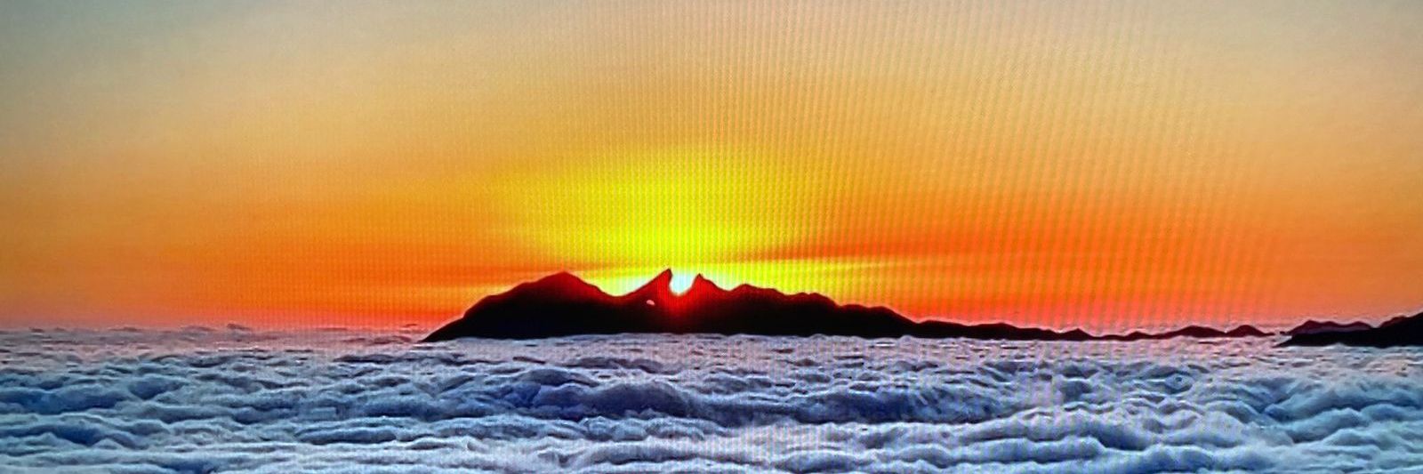 Francisco El Gran Danés 🇩🇰 🇲🇽 🇺🇦🇮🇱🇻🇪🇵🇪 banner