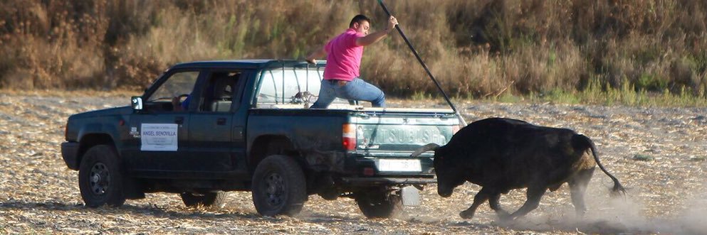 xatin26's profile banner image