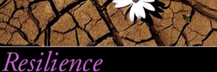 Together4Youth's profile banner image