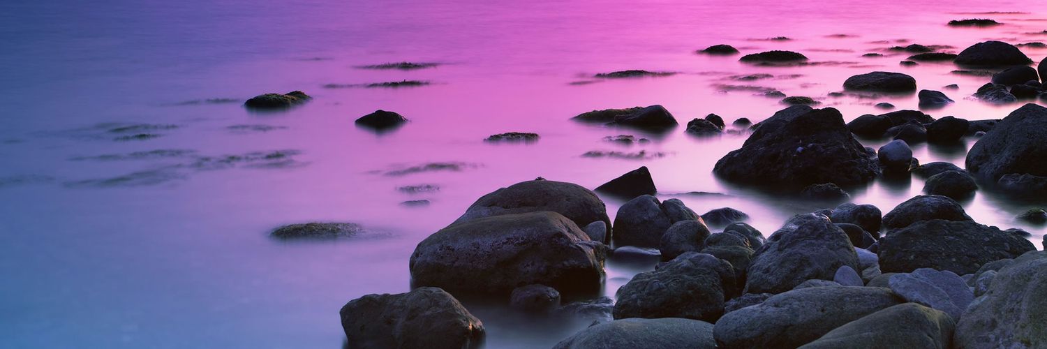 Sasy's profile banner image