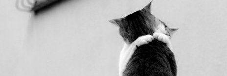 telko_vcl2's profile banner image
