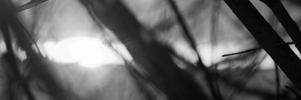 Lionelk98's profile banner image
