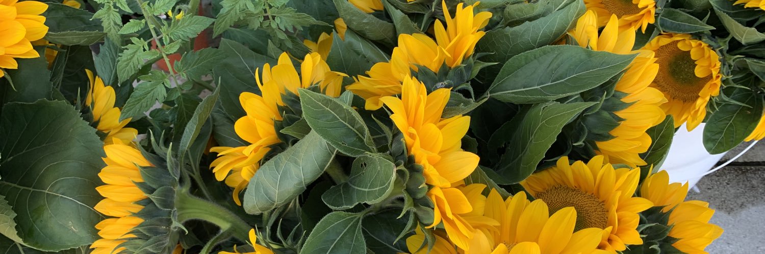 Donna Marie Smith 🌻 🇺🇦 banner