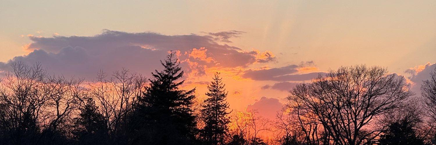 elizgramos's profile banner image
