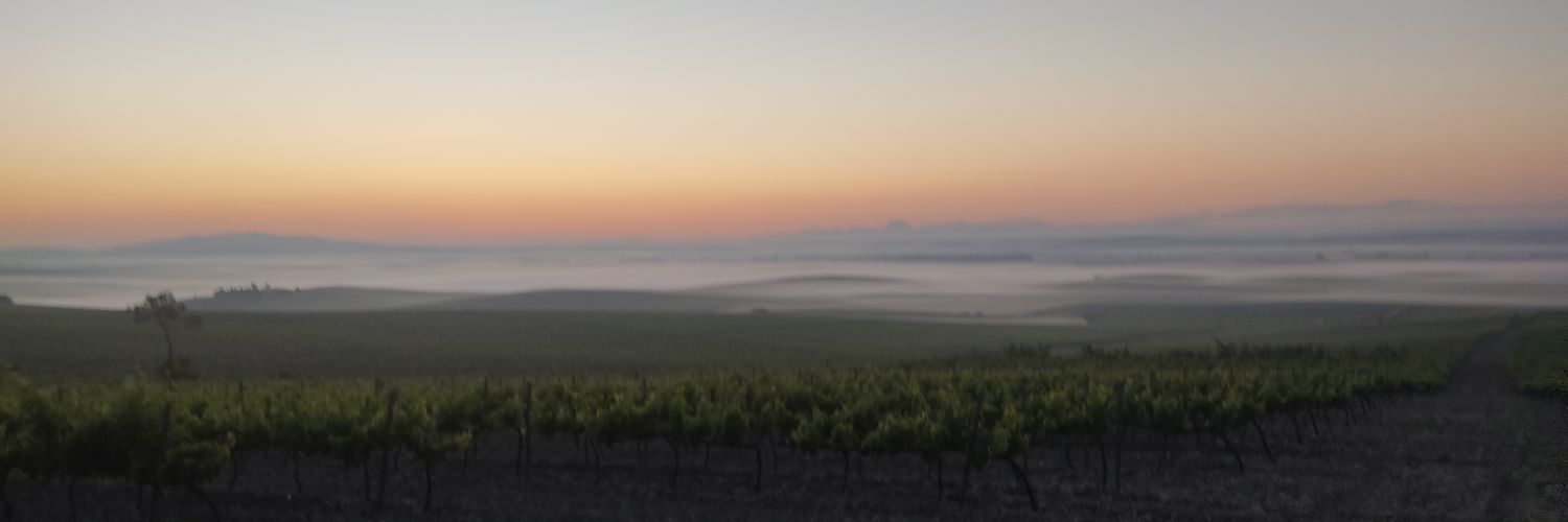 CaravacaPaco's profile banner image