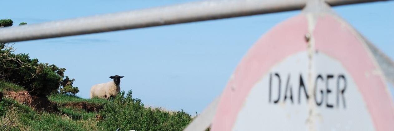 Aidan Cook banner