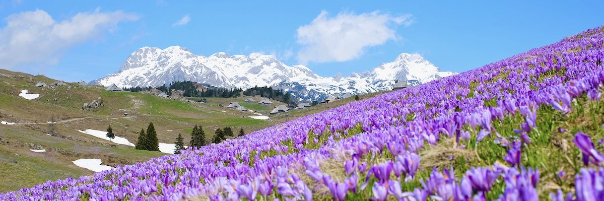 Exploring Slovenia banner