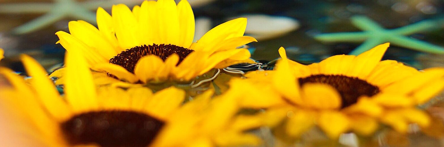 mi_ko831's profile banner image
