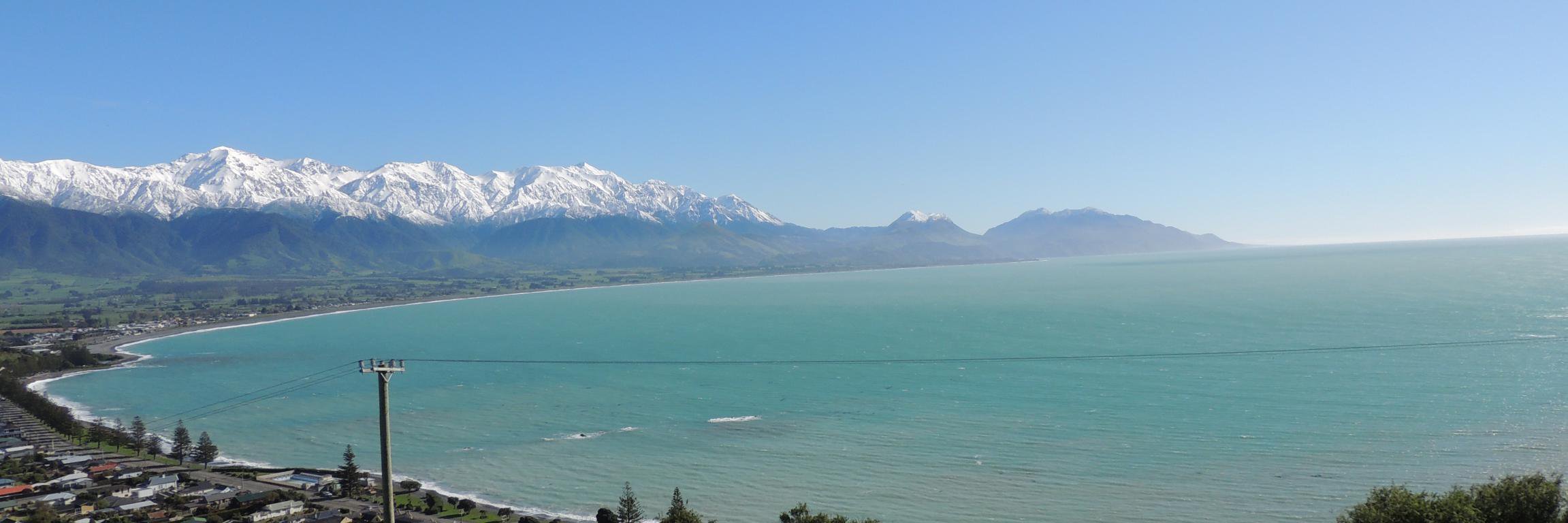 Benny 💚🇪🇺🏳️‍🌈🇩🇪🇺🇦 banner