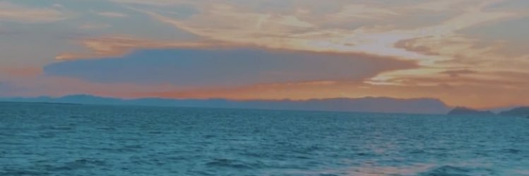 Sofiamm5's profile banner image